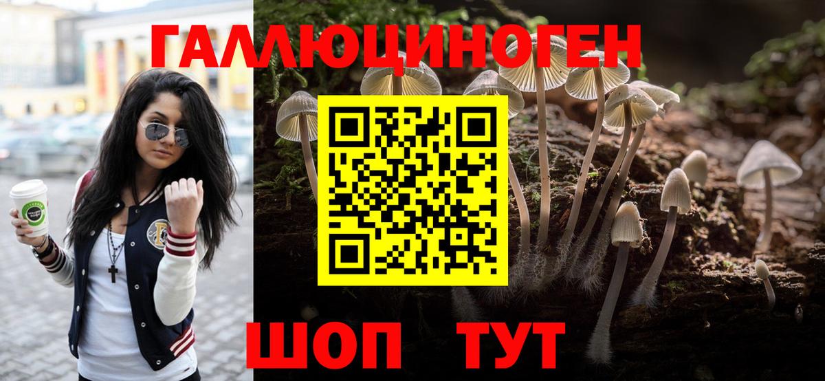 Псилоцибиновые грибы Psilocybine cubensis Кумертау