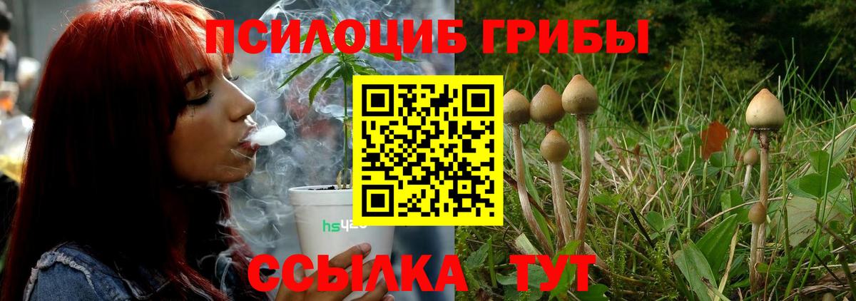 Псилоцибиновые грибы прущие грибы  Псилоцибиновые грибы мицелий  Кумертау  Вход с VPN 